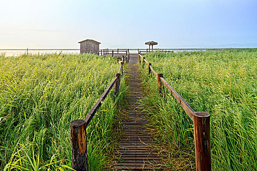 内蒙古草原