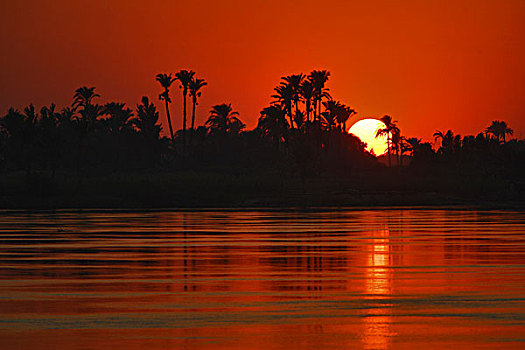 尼罗河,日落,中心,埃及,非洲