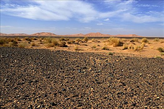 石头,沙漠,沙丘,却比沙丘,梅如卡,摩洛哥,北非