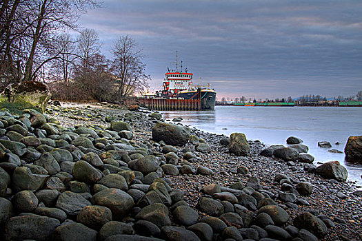 船,停泊,弗雷泽河,日落,三角洲,加拿大,图像