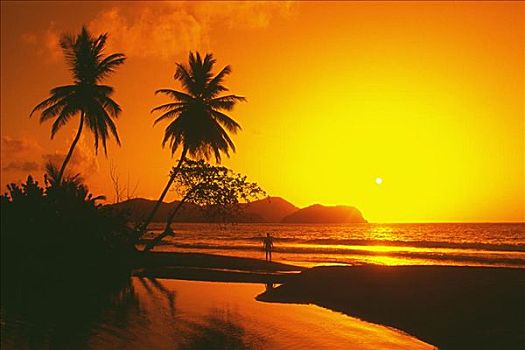 壮观,日落,多巴哥岛,加勒比海