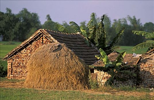 越南,海防,乡村,居住环境