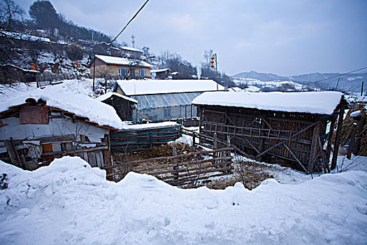 雪乡,雪村,吉林,临江市,村庄,山村,乡村,冬季,雪野,寒冷,农家,接待,旅游,松岭,东北,风情