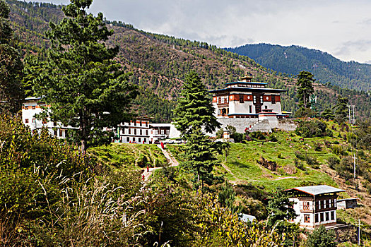 僧侣,学校,廷布,不丹
