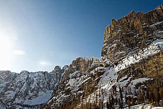 树,雪,山景