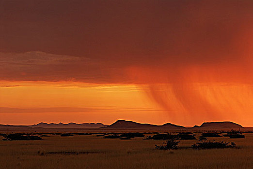 纳米比亚,国家公园,风暴