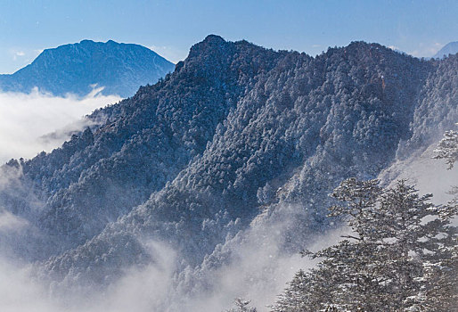 西岭雪山大雪的美丽风景