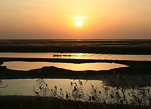 鄱阳湖风光