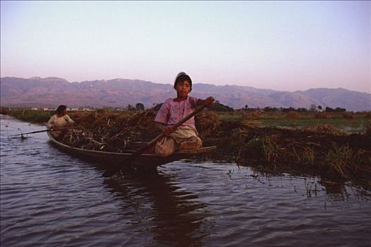缅甸,茵莱湖,女人,操纵,独木舟,木柴