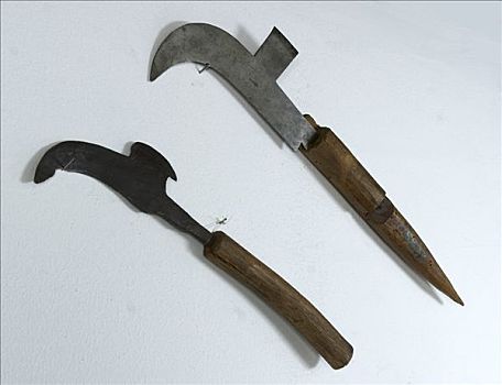 工具,藤,镰刀,塞尔维亚,19世纪,艺术家,未知