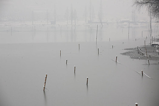 水面,宁静,水乡,倒影