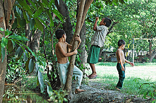 缅甸,曼德勒,亚洲人,男孩,玩,花园,树,一个,升起,绳索