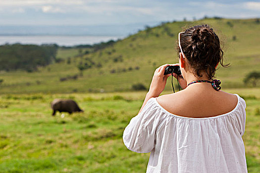 女孩,13岁,看,水牛,双筒望远镜,纳库鲁湖,住宿,纳库鲁湖国家公园,肯尼亚,东非,非洲