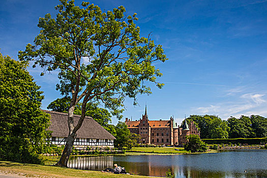 水塘,城堡,丹麦