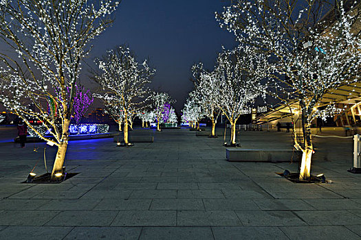 广场上的树木装饰彩灯