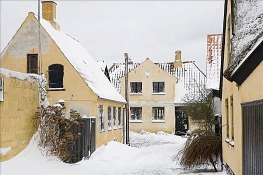 积雪,乡村,丹麦,欧洲