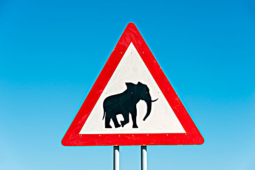标识,大象,靠近,纳米比亚,非洲