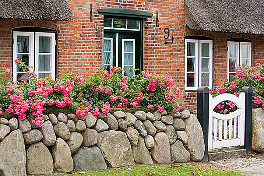 石墙,花,木门,正面,房子,凯图姆,德国