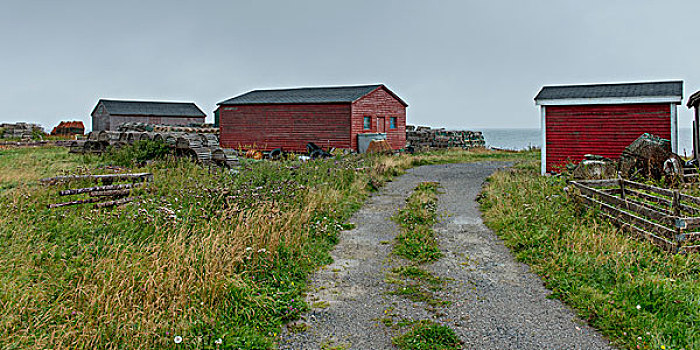 房子,渔村,小湾,格罗莫讷国家公园,纽芬兰,拉布拉多犬,加拿大