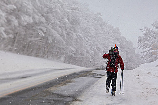 一个,男人,走,背影,白天,边远地区,滑雪,佛蒙特州,美国
