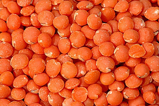 红扁豆禁忌图片