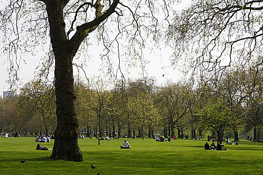 英格兰,伦敦,绿色公园,人,放松,草地