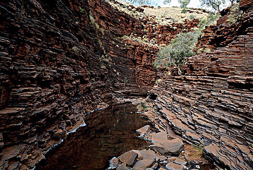 反射,石头,水中,峡谷,卡瑞吉尼国家公园,西澳大利亚,澳大利亚