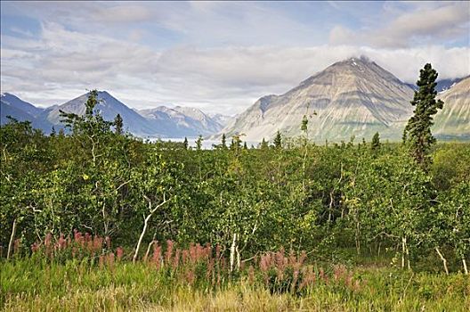 山脉,克卢恩国家公园,自然保护区,育空地区,加拿大