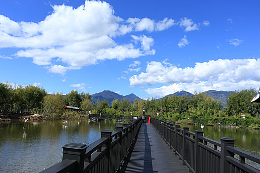 丽江,拉市海湿地