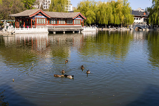 北京市,大观园景区