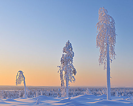 黎明,北方,芬兰