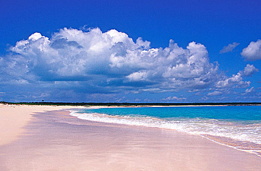 粉色,沙滩,哈伯岛,巴哈马