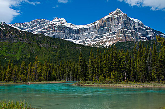 河,山脉,背景,班芙国家公园,艾伯塔省,加拿大