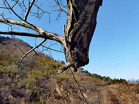 河流,沣峪口,秦岭山,丰裕口,沣峪河,秦岭北麓,自然环境,自然风光,秦岭山脉,风光秀丽,绿色植物,秦岭风光