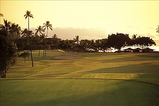 夏威夷,毛伊岛,高尔夫球场,北方,场地,洞