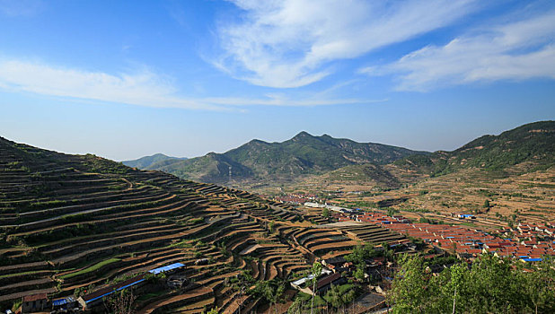 山上的田地