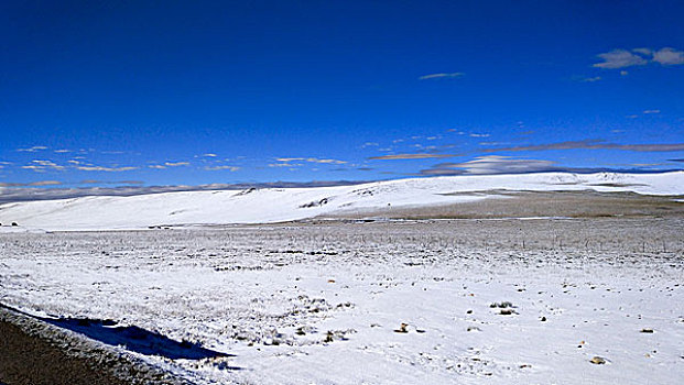 唐古拉山雪地