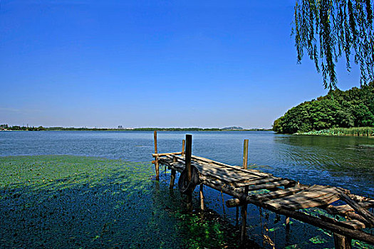 伸向湖中的木桥