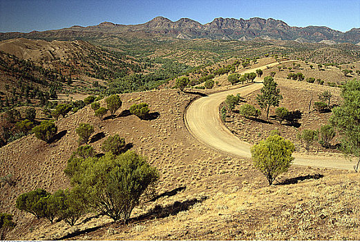 道路,弗林德斯山国家公园,澳大利亚