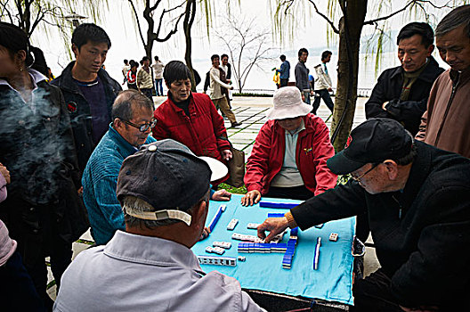 杭州,西湖,旅游,游人,老人,打麻将,柳树,湖边