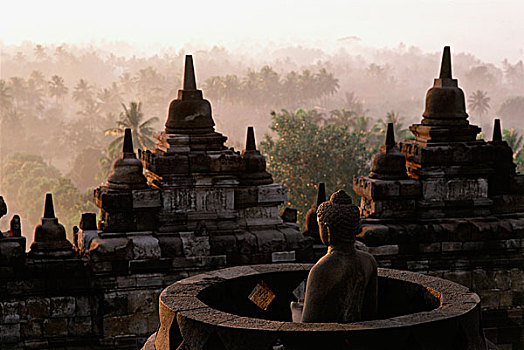 印度尼西亚,爪哇,佛像,婆罗浮屠,树,背景