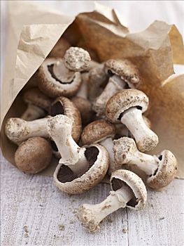 蘑菇,纸袋