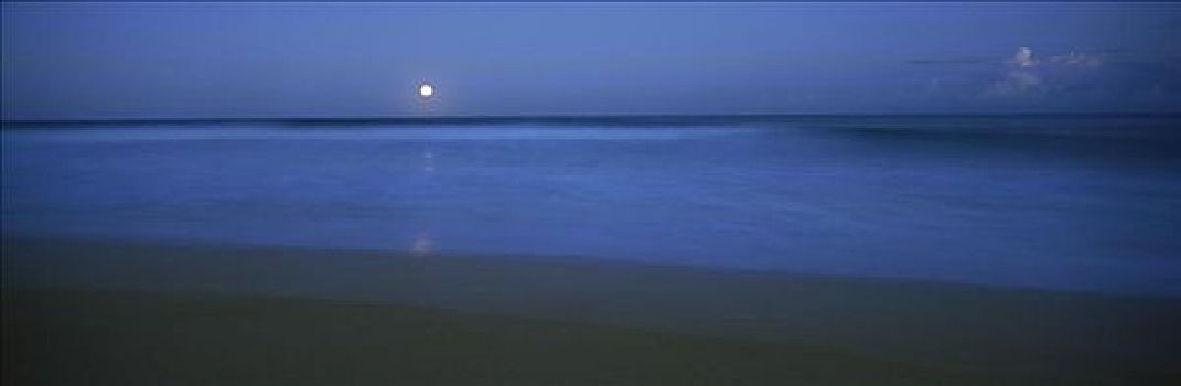 沿岸,景色,满月,上方,平和,蓝色,海洋,海滩,全景