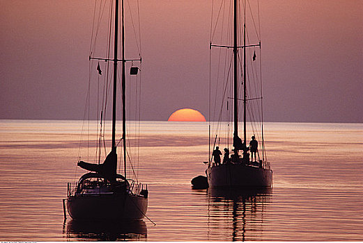 帆船,日落,自由岛,巴哈马