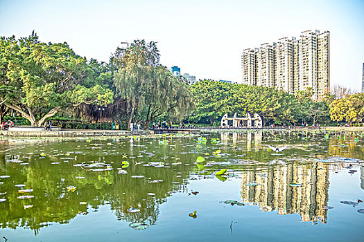 深圳洪湖公园