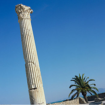 柱子,热,迦太基,突尼斯,非洲