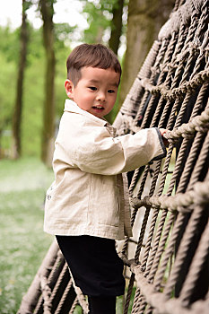 林荫下站在网绳梯子上开心玩耍的小男孩