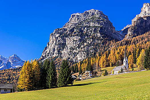 秋天,落叶松属植物,彩色,阿尔卑斯山,白云岩,意大利