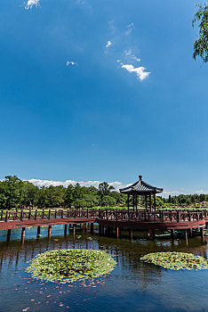 北京圆明园中茜园的荷花池和古建筑