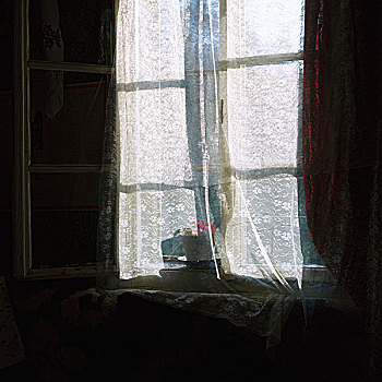 窗户,室内,罗马尼亚,农舍,白色,帘,粉色,植物,窗台,马拉穆列什,五月,2006年